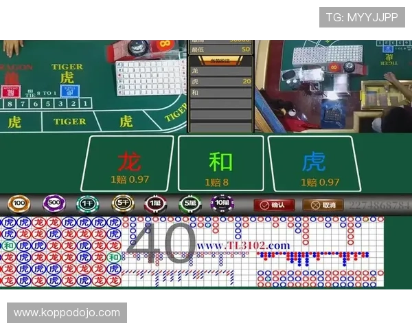 真人龙虎打法详解:掌握技巧轻松赢取高额奖励